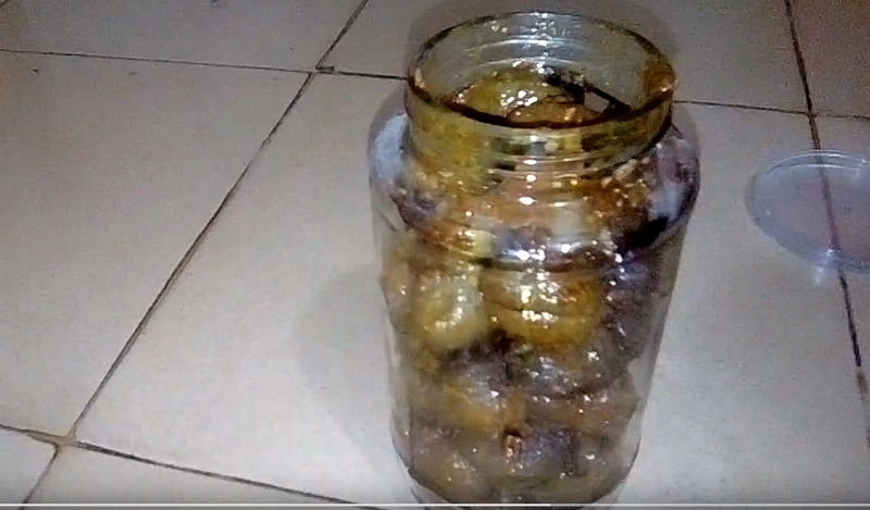 জলপাই আচার বানাতে হয় কিভাবে?